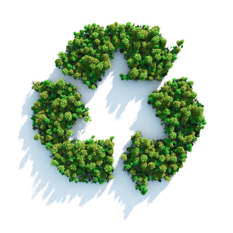 Recycling Recycling